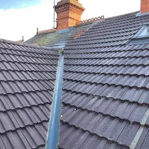 a couple of roofs that are next to each other